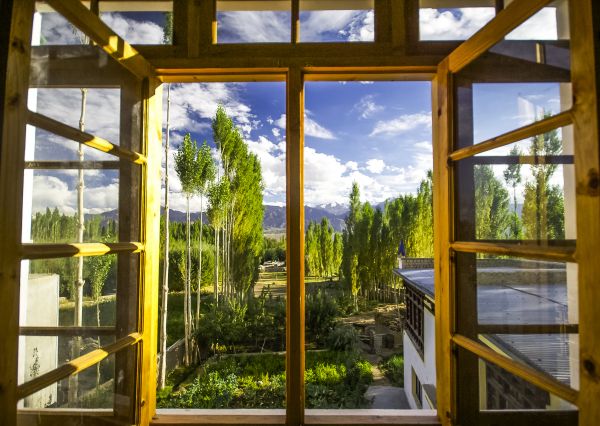 Cost of Wood Window Replacement in Denver