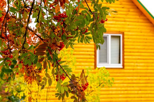 Cost of Garden Window Replacement in Denver